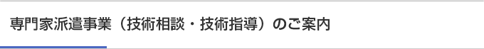 専門家派遣事業（技術相談・技術指導）のご案内