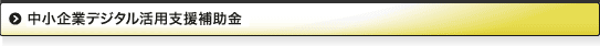 中小企業デジタル活用支援補助金
