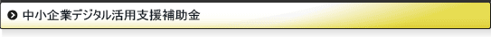中小企業デジタル活用支援補助金