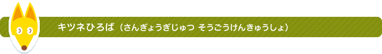 キツネひろば